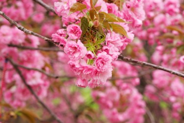 温州乐清7线下个人借款平台一站式服务，轻松解决资金难题