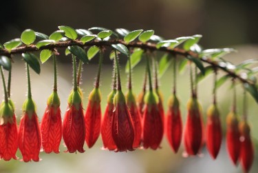 温州乐清7零用贷短借：轻松解决临时资金需求