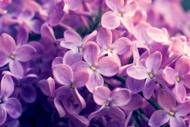 温州乐清7企业急用钱贷款攻略：快速融资解燃眉之急